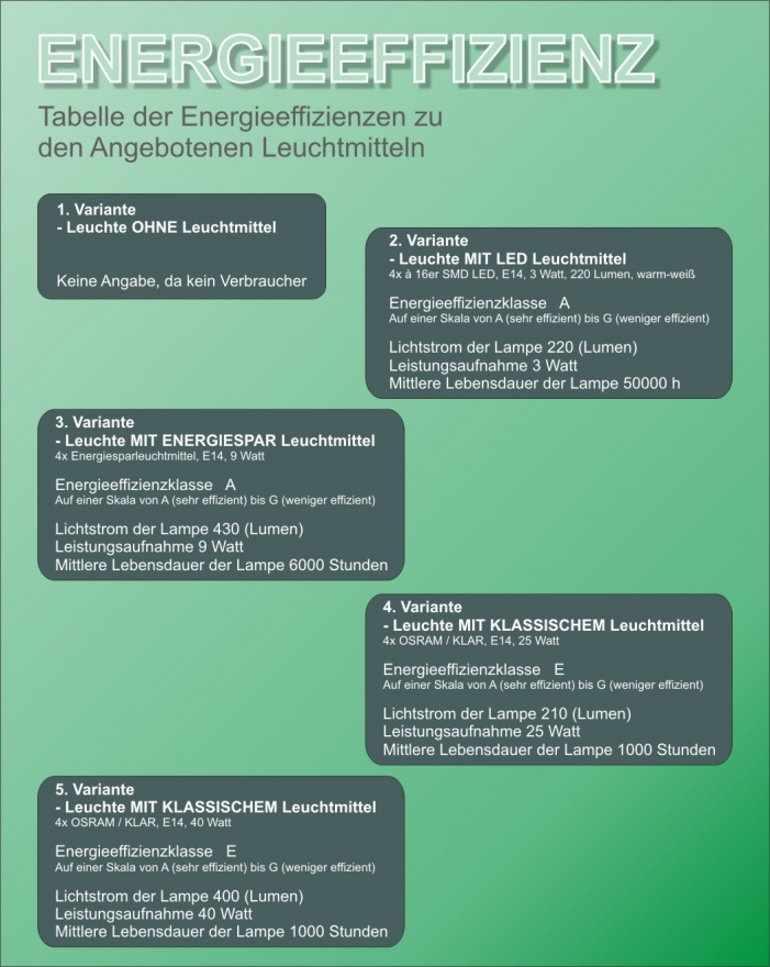 Vorlage_Produktbild_Tabelle_Energieeffizienz